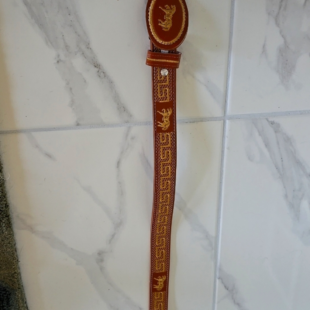 Coach belt